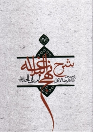 ترجمه شرح نهج‌البلاغه ابن‌ابیالحدید معتزلی 17 (گالینگور)