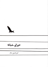 حیرانی شبانه