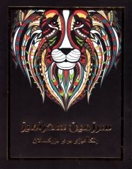 سرزمین سحرآمیز (رنگ آمیزی برای بزرگسالان)