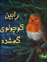 رابین کوچولوی گمشده