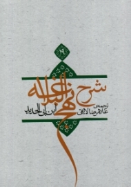 شرح نهج البلاغه ابن ابی الحدید معتزلی 19