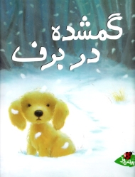 گمشده در برف