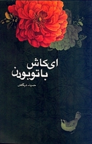 ای کاش با تو بودن