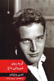 گربه روی شیروانی داغ