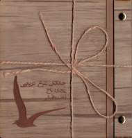 جاناتان مرغ دریایی