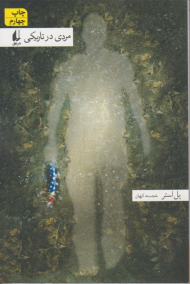 *مردی در تاریکی