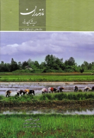 مازندران (دیار شالیکاران)