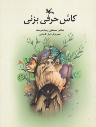 کاش حرفی بزنی