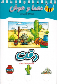 دقت (معما و هوش)