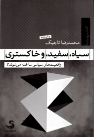 سیاه، سفید و خاکستری (واقعیت های سیاسی ساخته می شوند)