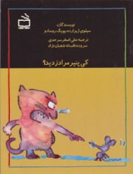 کی پنیر مرا دزدید