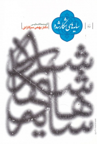 سایه های شکار شده (گزیده مقالات فارسی)