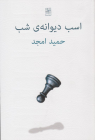 اسب دیوانه شب