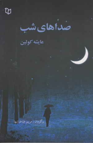 صداهای شب