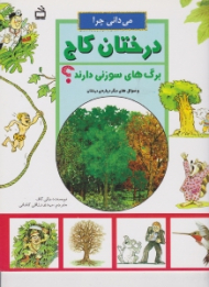 می دانی چرا درختان کاج برگ های سوزنی دارند