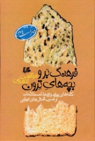 فرهنگ بر و بچه های ترون (کلمه های ویژه، واژه ها، اصطلاحات و ضرب المثل های تهرانی) - ویراست دوم