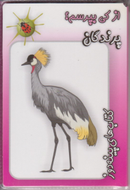 از کی بپرسم (پرندگان)