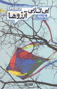 بی تابی آرزوها (رمان نوجوان)