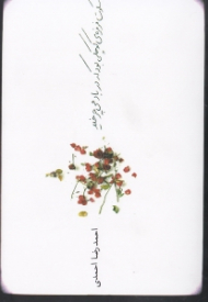 سکوت فرفره کوچکی بود که در باد می چرخید