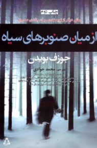 از میان صنوبرهای سیاه