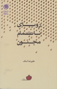 رویای ناتمام مجنون