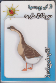 از کی بپرسم (حیوانات مزرعه)