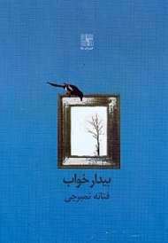 بیدار خواب
