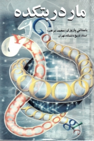 مار در بتکده (مجموعه آثار 41)
