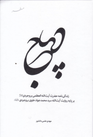 دیباج (زندگی نامه حضرت آیت الله العظمی بروجردی بر پایه روایت آیت الله سید محمدجواد علوی بروجردی)