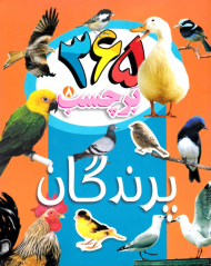 365 برچسب 8 (پرندگان)