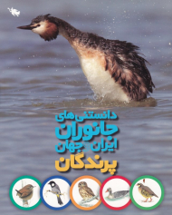 پرندگان (دانستنی های جانوران ایران و جهان)