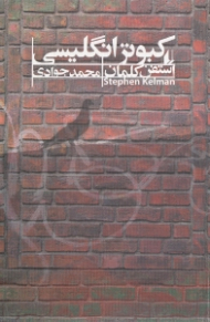 کبوتر انگلیسی