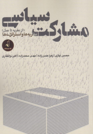 مشارکت سیاسی (نظریه ها و استراتژی ها)