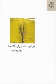 چرا نویسنده بزرگی نشدم (پژوهشی کیفی به روش فرهنگ نگاری روایی)