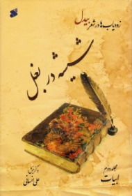 شیشه در بغل - مجلد دوم: ابیات (زودیاب ها در شعر بیدل - متفرقات و تک بیت های اشعار بیدل)