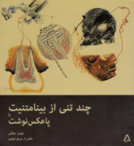 چند تنی از بینامتنیت یا پاعکس نوشت