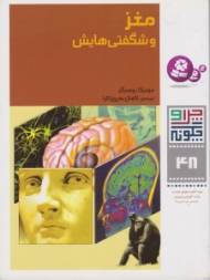 چرا و چگونه 48 (مغز و شگفتی هایش)