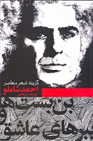 بن بست ها و ببرهای عاشق