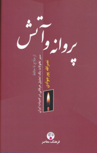 پروانه و آتش (از حلاج تا حافظ سیر تحولات یک تمثیل عرفانی در ادبیات ایران)