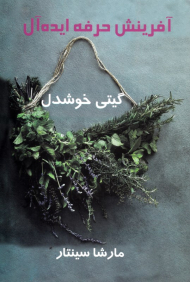 آفرینش حرفه ایده آل