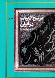 تاریخ ادبیات در ایران و در قلمرو زبان فارسی جلد 1 (از آغاز عهد اسلامی تا دوره سلجوقی)