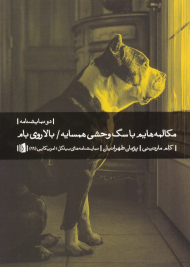 مکالمه هایم با سگ وحشی همسایه/بالا روی بام