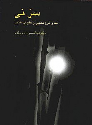 سر نی 2 (نقد و شرح تحلیلی و تطبیقی مثنوی)