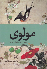 مولوی (دیروز و امروز، شرق و غرب)