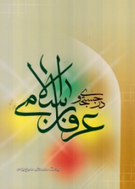 در جستجوی عرفان اسلامی