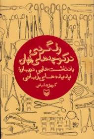 ولگردی در کوچه های زبان (یادداشت هایی درباره پدیده های زبانی)