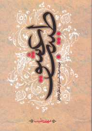 طبیب عشق (عرصه حیات انسان از منظر عارفان)