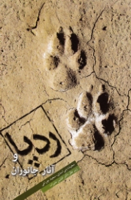 ردپا و آثار جانوران