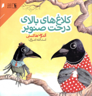 کلاغ های بالای درخت صنوبر