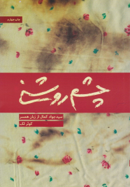 چشم روشنی (سیدجواد کمال از زبان همسر)